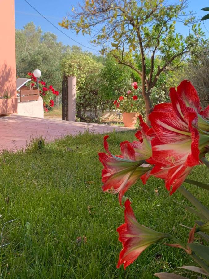 Ey House Villa CChalikounas Buitenkant foto
